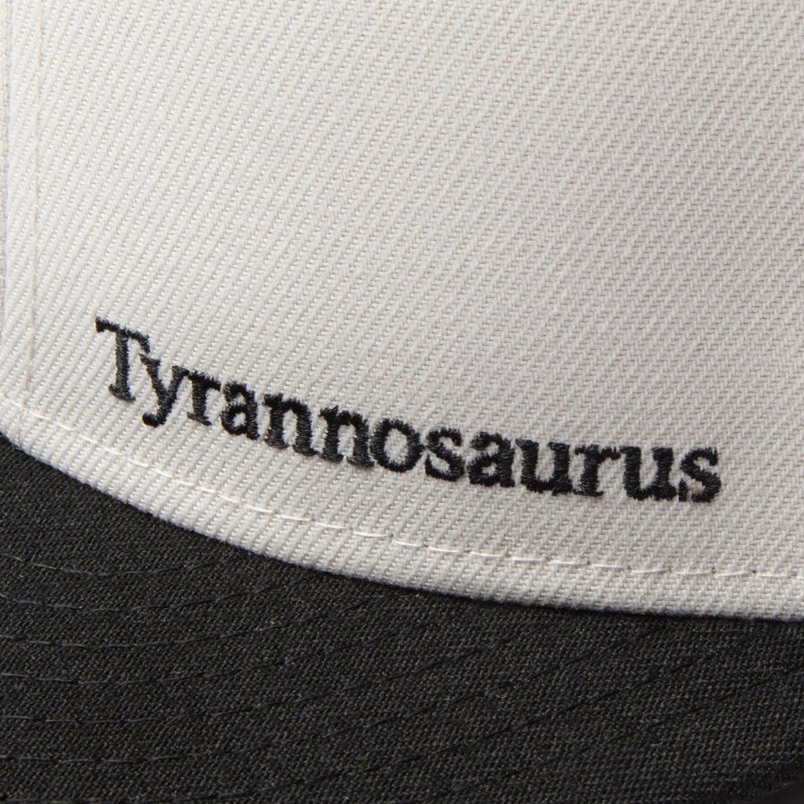 Youth 9FIFTY Dinosaur ティラノサウルス クロームホワイト ブラックバイザー
