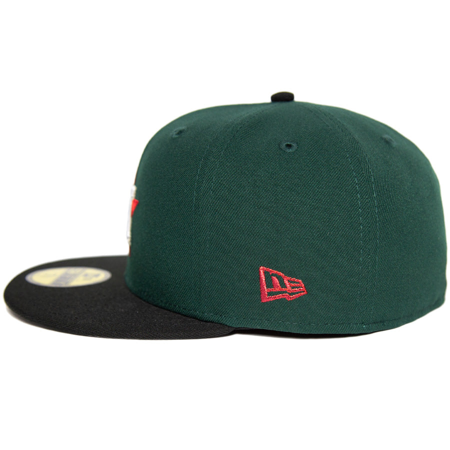 ニューエラ キャップ カスタム 帽子 NEW ERA CAP BEER ビール KINGS 別注 ヒューストン アストロズ ダークグリーン ブラック グレーアンダーバイザー 71034670 左サイド