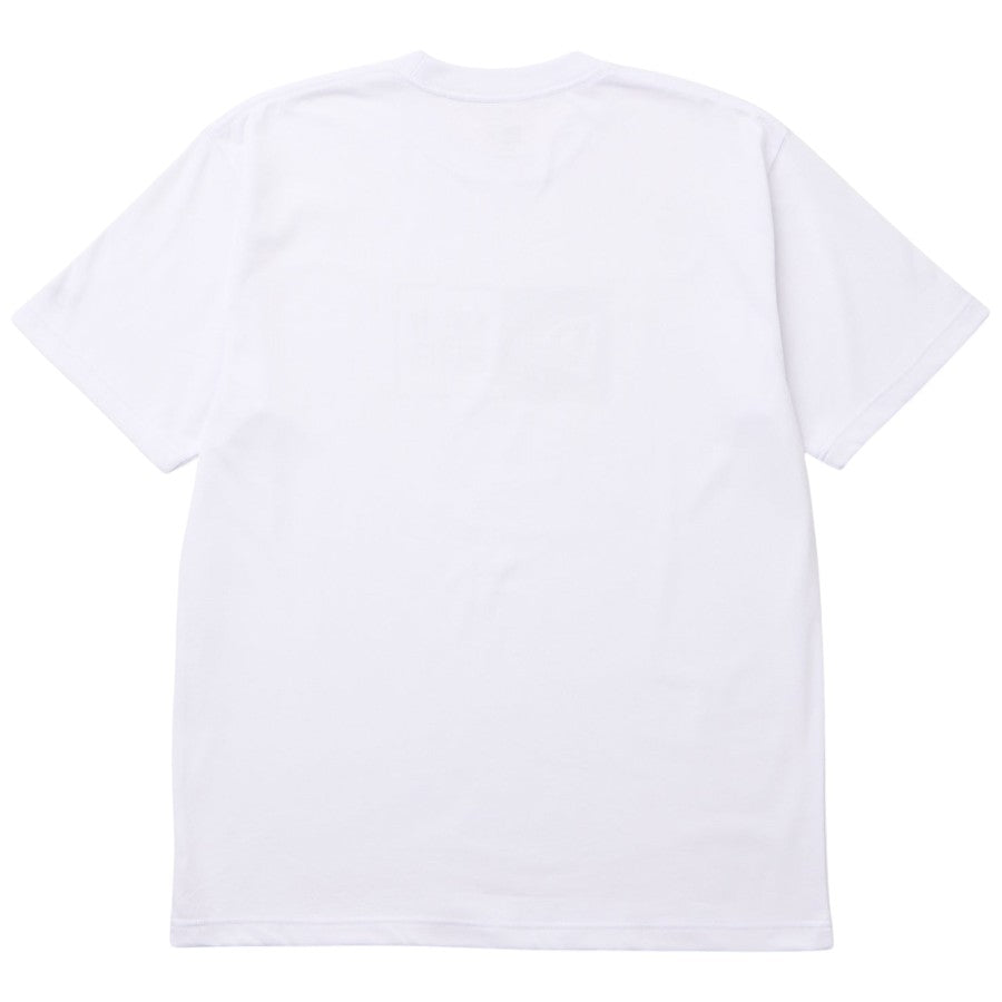 ニューエラ アパレル NEW ERA 半袖 コットン Tシャツ Oriental Paisley ペイズリー ボックスロゴ ホワイト 14856700 バック
