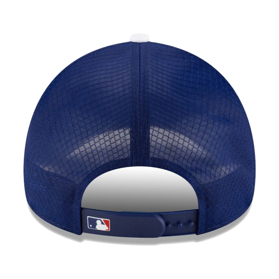 ニューエラ キャップ NEW ERA 9FORTY APEX 2026 MLB Batting Practice ロサンゼルス ドジャース ブルー 14865059 背面
