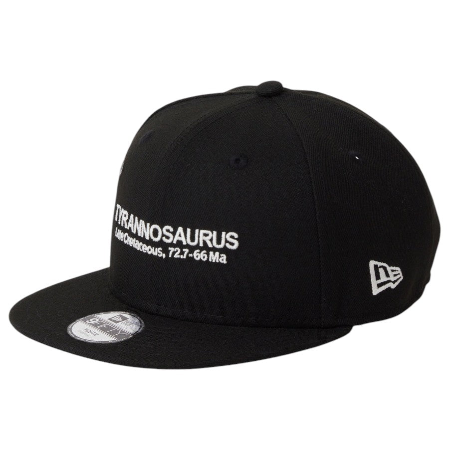 ニューエラ キャップ 帽子 NEW ERA CAP KIDS キッズ Youth 9FIFTY Tyrannosaurus 恐竜 ティラノサウルス 化石 ブラック 14746963 右斜め前